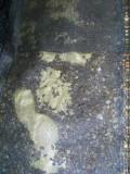 Foam Fill in Leu of Gravel.jpg