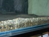 Front Gravel Fill with Screen Mesh.jpg