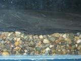 Front Shot of Gravel Fill with Screen Filter Mesh.jpg
