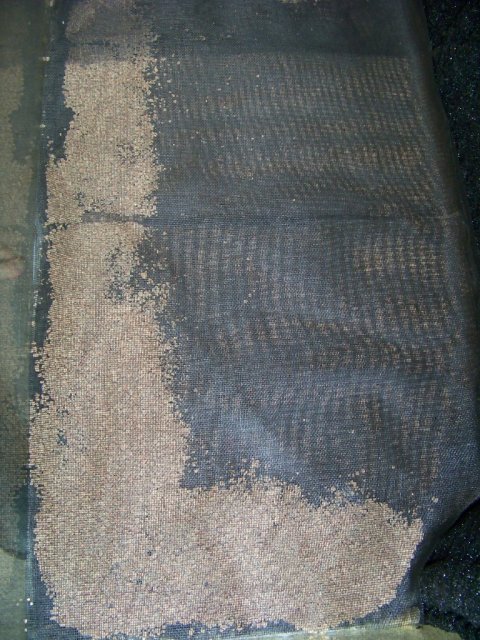 Right View Soil Conditioner and Screen.jpg