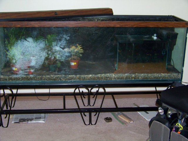 Overall View with 10 Gallon Aquarium Placed.jpg