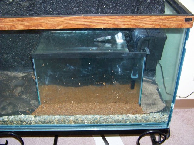 Right End with 10 Gallon Aquarium PLaced.jpg