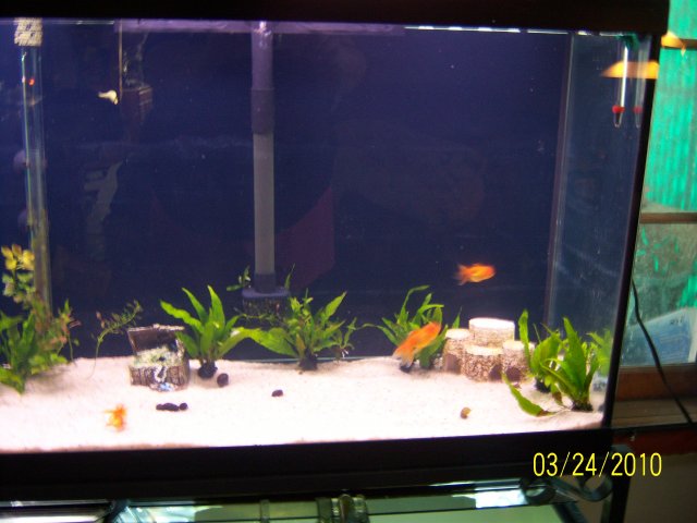 100_2876.jpg