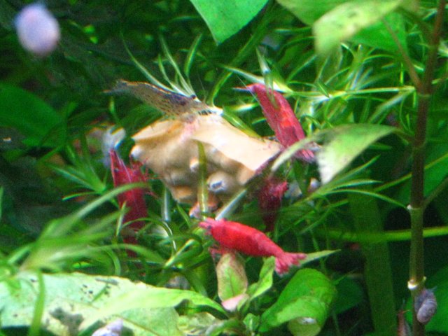IMG_2366.JPG