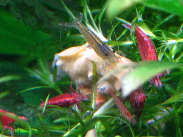 IMG_2367.JPG