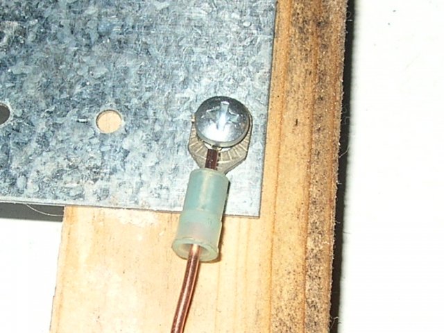 fish1 007.JPG fish1 007.JPG