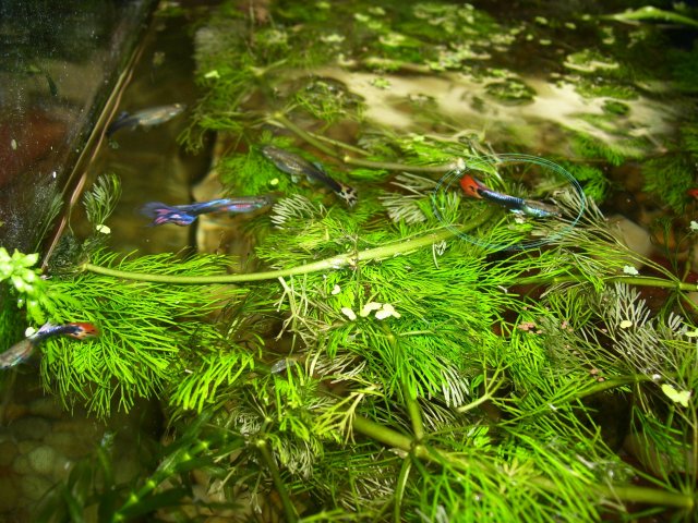 100_2145.JPG