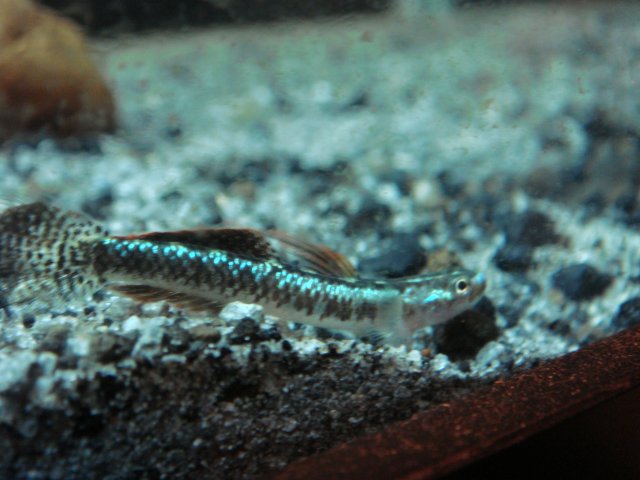 DSC03282.JPG