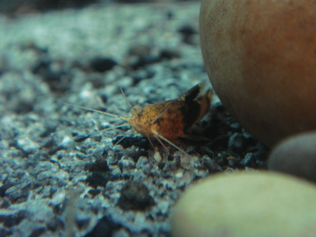 DSC03285.JPG