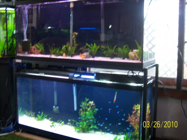 100_2915.jpg 100_2915.jpg