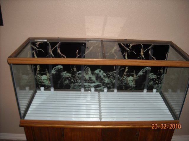 DSCN0281.JPG