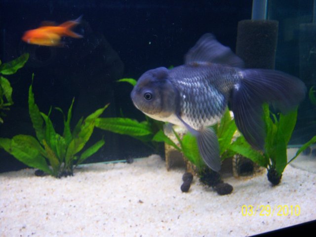 100_2920.jpg