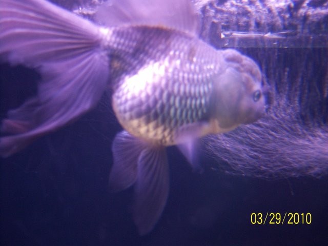 100_2924.jpg