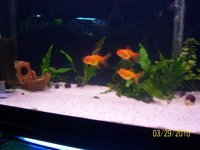 100_2928.jpg