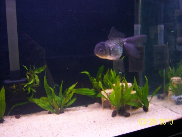 100_2929.jpg