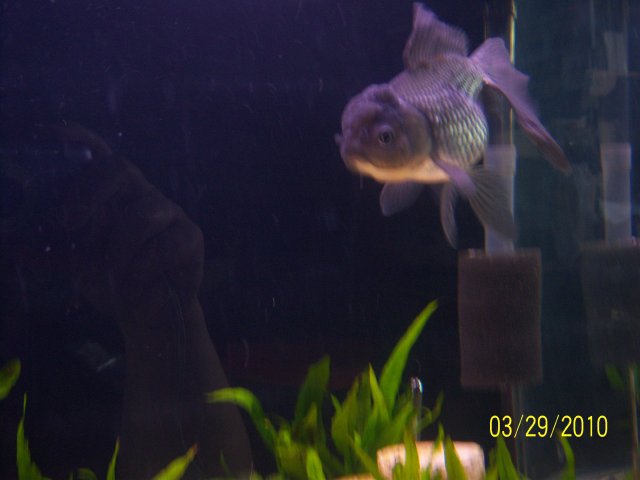 100_2930.jpg