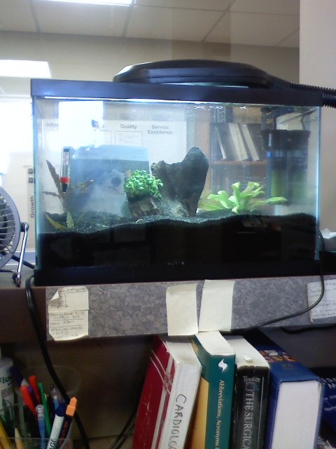 5-5gallon.jpg 5-5gallon.jpg