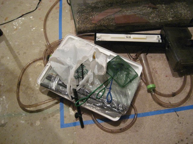 IMG_0432.JPG IMG_0432.JPG