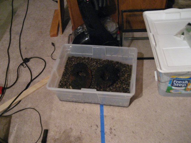 IMG_0434.JPG IMG_0434.JPG
