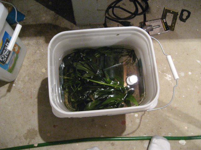IMG_0435.JPG IMG_0435.JPG