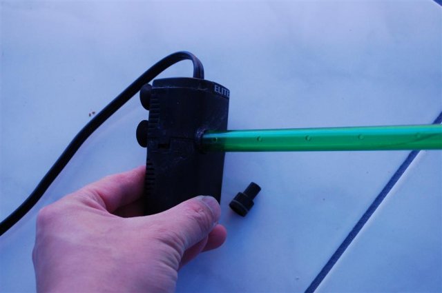 DSC_0616 (Large).JPG