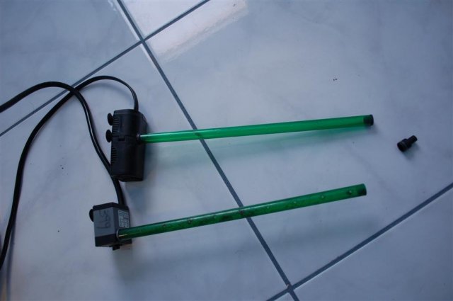 DSC_0632 (Large).JPG