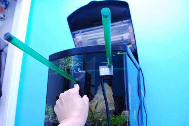 DSC_0618 (Large).JPG