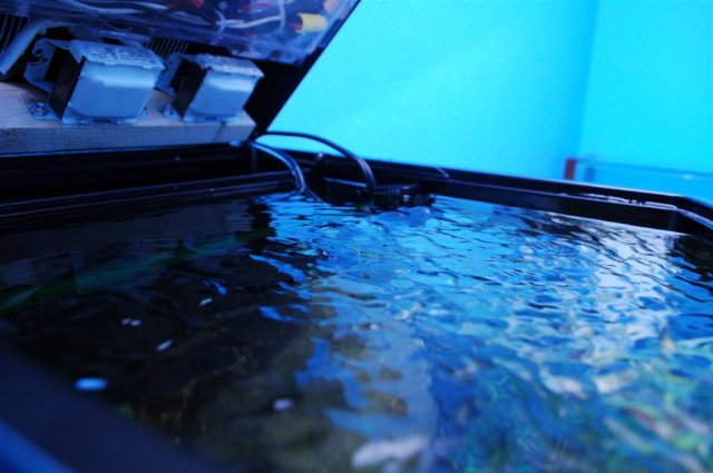 DSC_0624 (Large).JPG