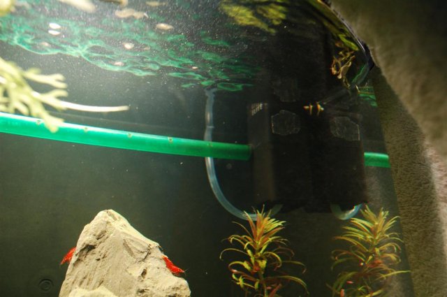 DSC_0630 (Large).JPG