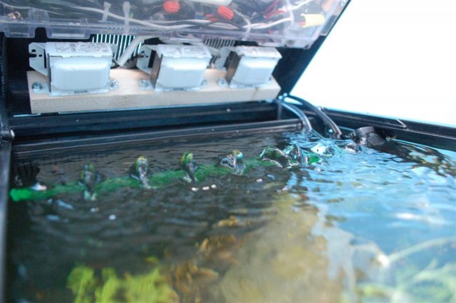 DSC_0626 (Large).JPG DSC_0626 (Large).JPG