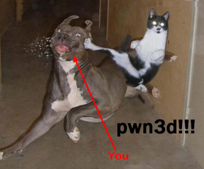 pwnd.png