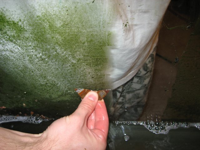 IMG_0439.JPG