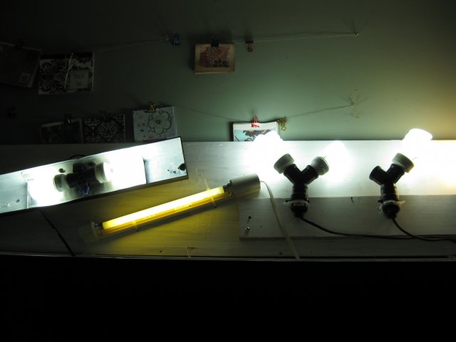 IMG_3690.jpg IMG_3690.jpg