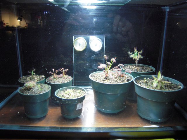 DSCN2034.JPG