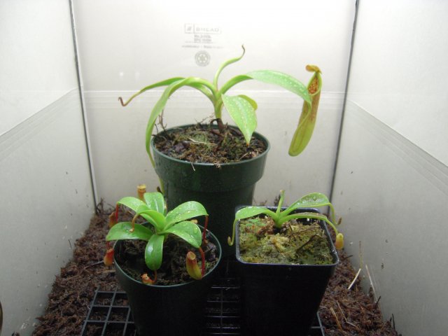 DSCN2035.JPG