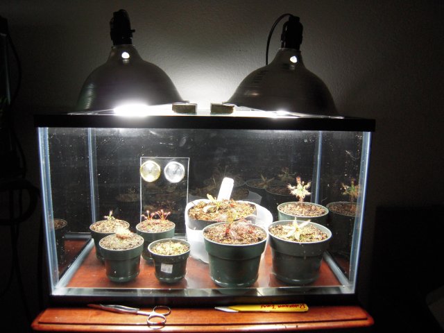DSCN2036.JPG