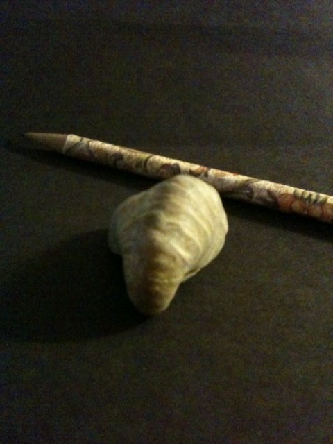 Snail Fossil 1.jpg