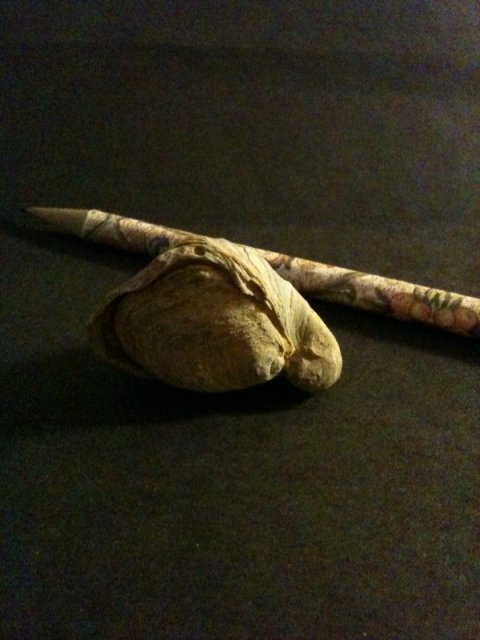 Snail Fossil 2.jpg