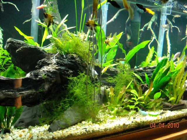 DSCN0364.JPG DSCN0364.JPG