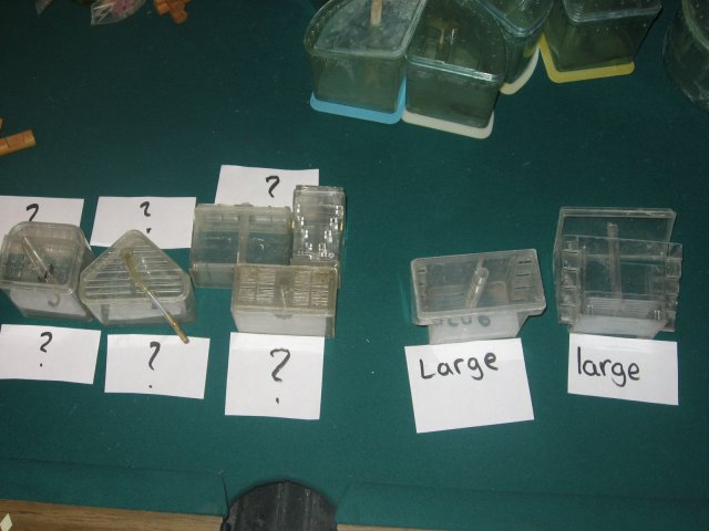 IMG_6048.JPG IMG_6048.JPG