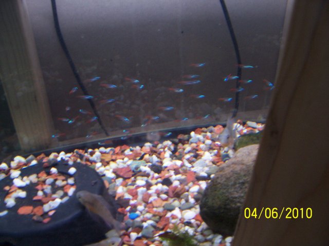 000_4190.jpg