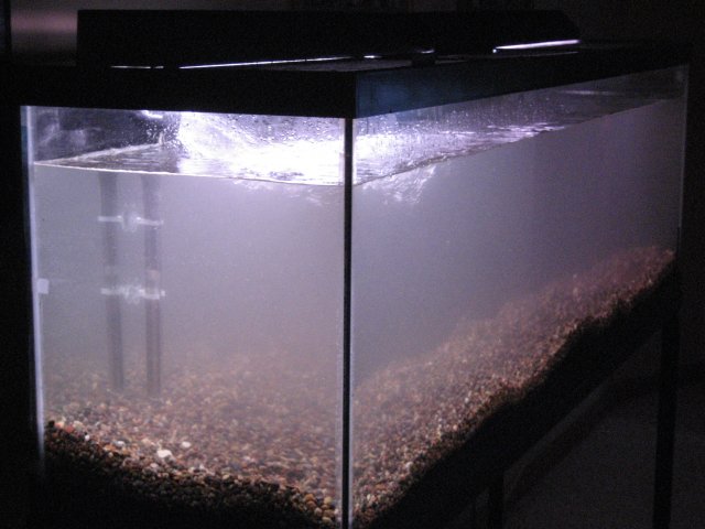 IMG_0494.JPG