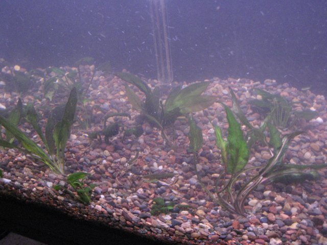IMG_0500.JPG