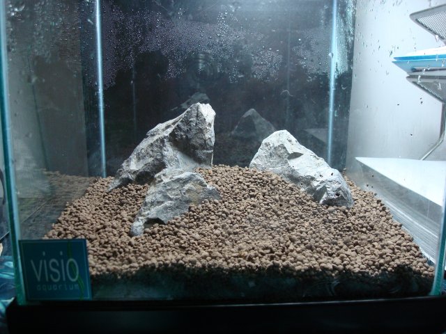 03-27-10 hardscape.jpg