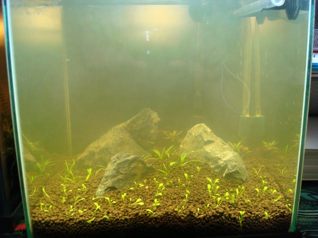 03-28-10 cloudy.jpg