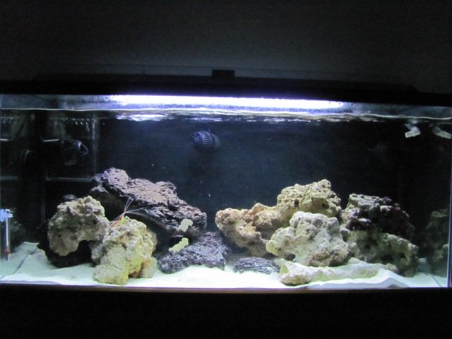 40g fts 01.JPG