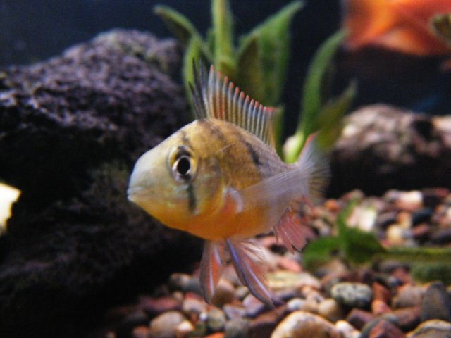 DSCF0999.JPG