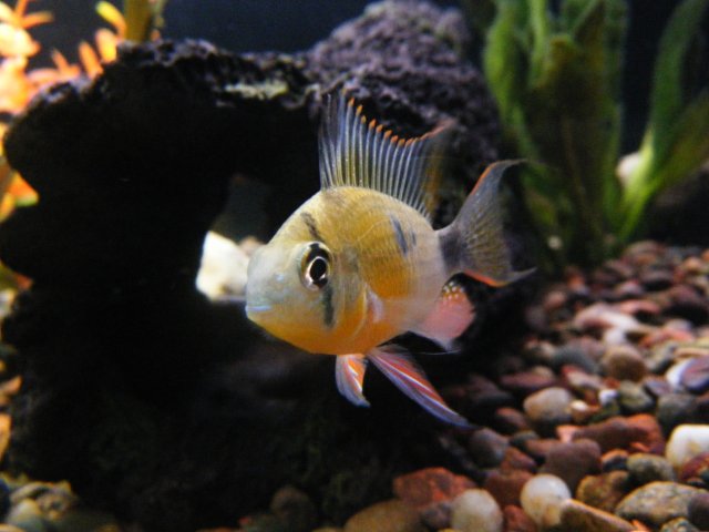 DSCF1001.JPG