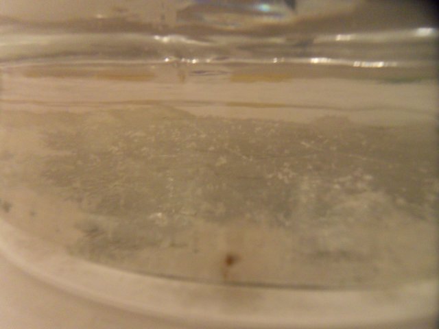 SDC10984.JPG