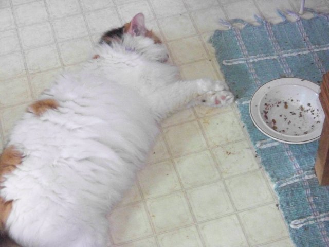 100_0324.JPG